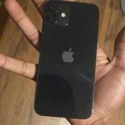 iPhone 12 