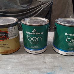 PAINT 
