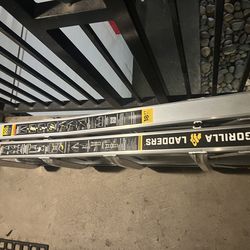 Gorilla stack ladder