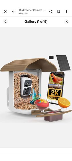 Bird feeder camara
