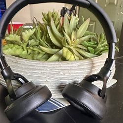 Jbl Headphones 
