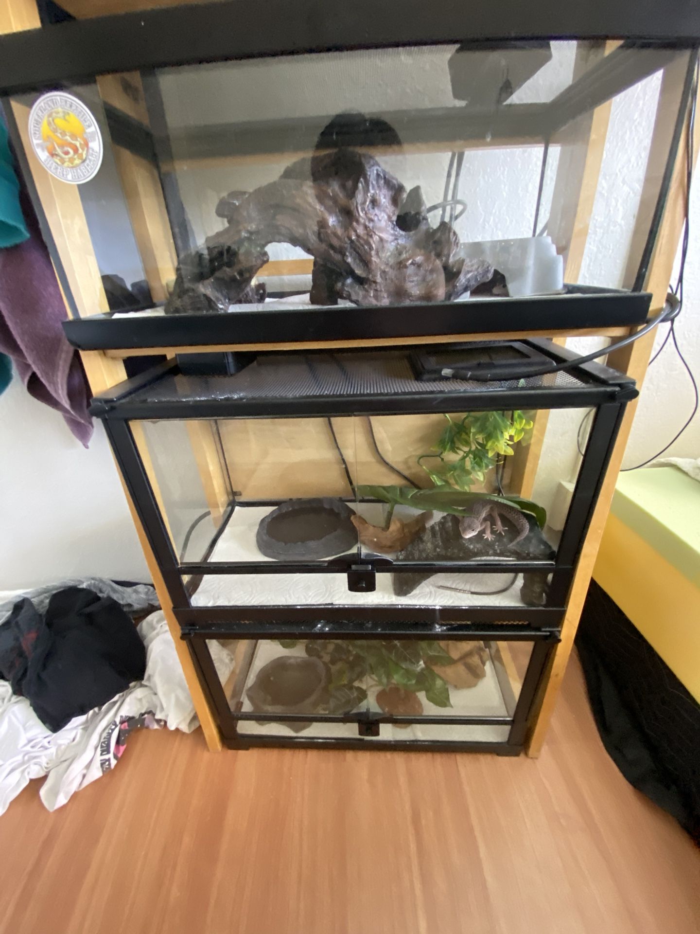 Reptile Stuff And More