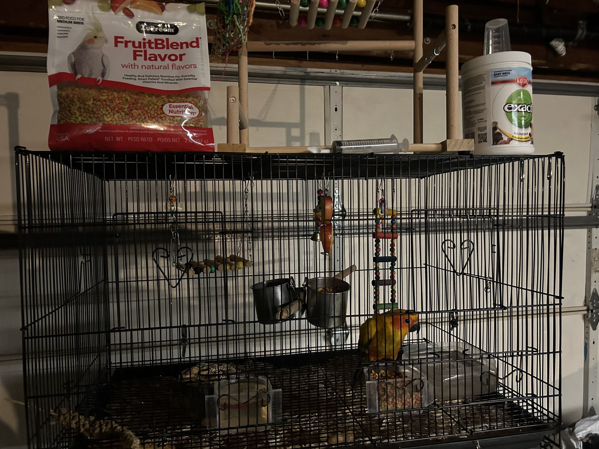 Parrot Conure Cage And Playground 