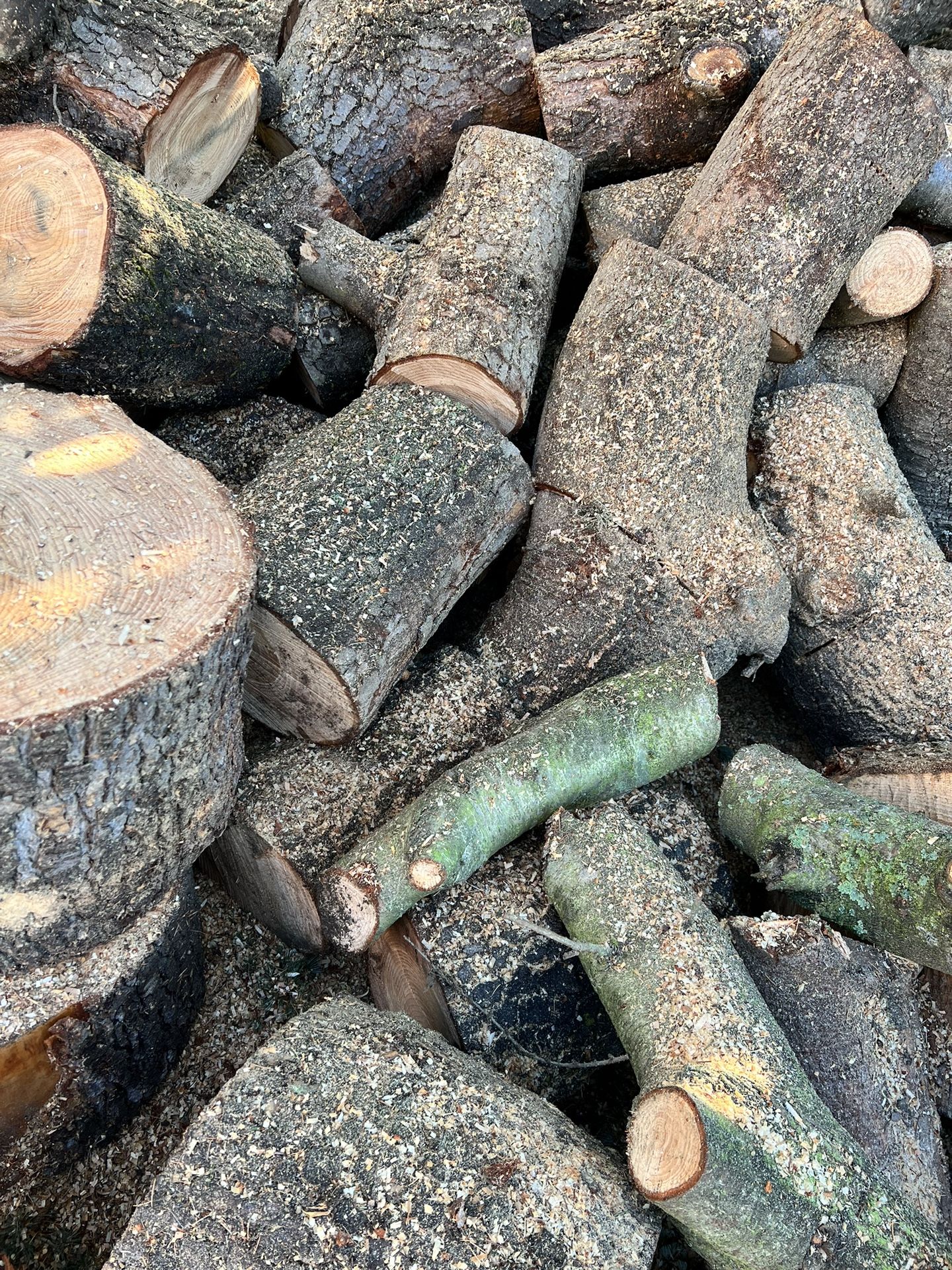 Free True Cedar Stumps for Sale in Seattle, WA OfferUp