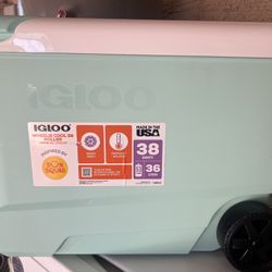 Igloo Wheelie Cool 38qt rolling cooler