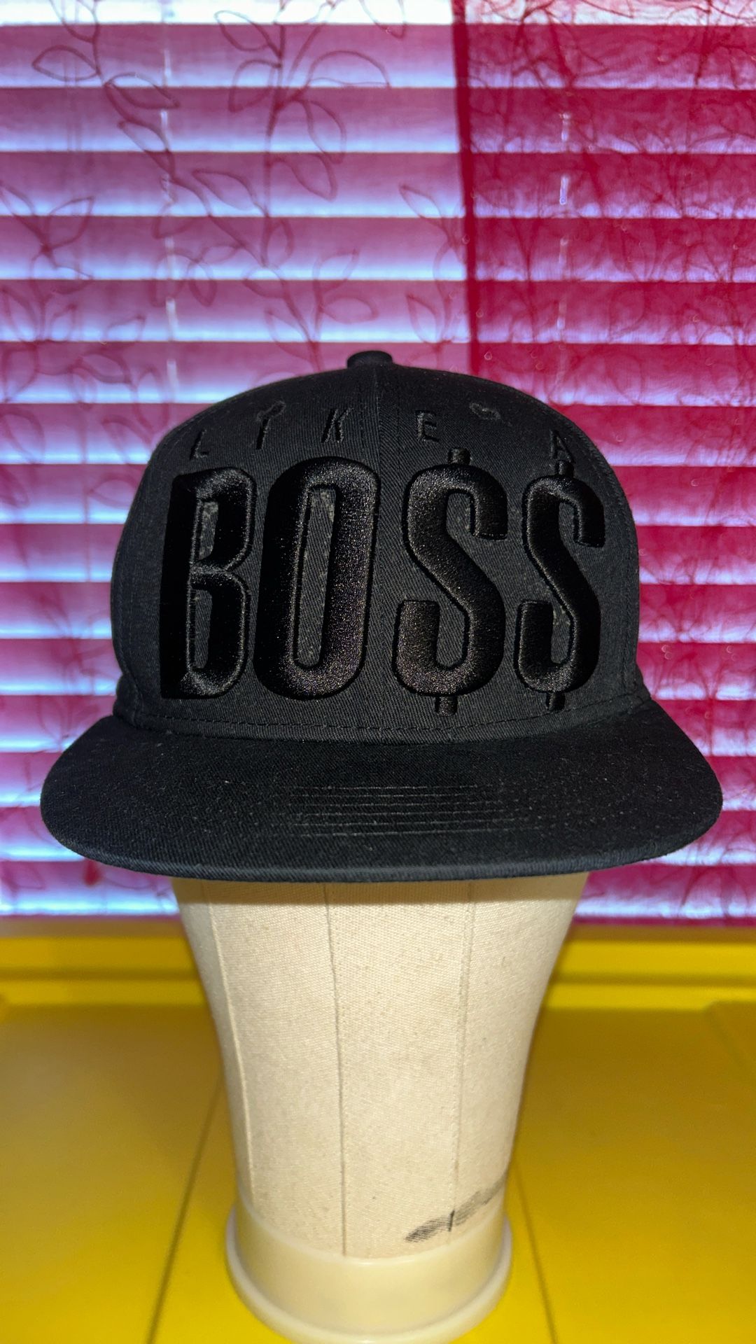 Modern SnapBack