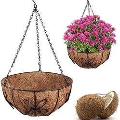 Hanging Planters | Pack Of 2