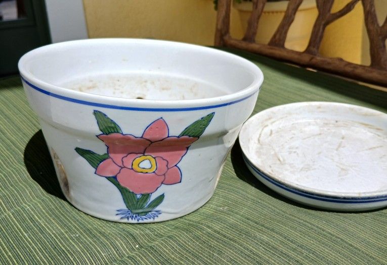 Ceramic Orchid Pot And Saucer
