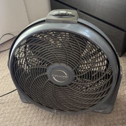 Fan
