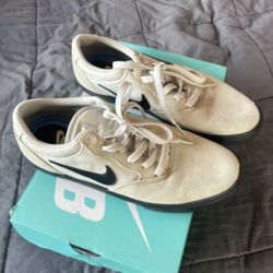 Nike SB Shoes