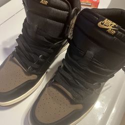 Air Jordan 1s Palomino