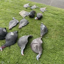 Turkey Hunting Decoys