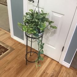 Plant
