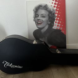 Takamine Guitar