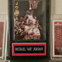 Michael Jordan 1993 Jordan Greatest Ever Retirement Card (always in case)