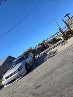 Mustang saleen