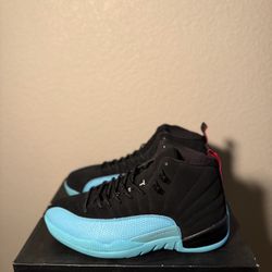 Size 10 Jordan 12 Gamma 