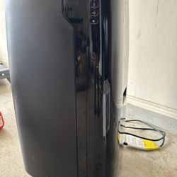 DeLonghi Pinguino portable AC unit. Blows cold, works great. Easy to move and perfect for summer. 