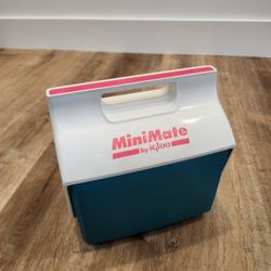 Vtg 1990s Mini Mate Cooler By Igloo 6 Can Made In USA Retro Neon Hot Pink Teal