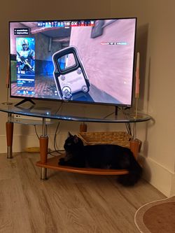 Coffee Table or TV stand
