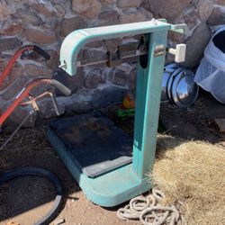 Fairbanks-Morse Platform Scale