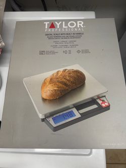 Taylor Professional Digital Scale with Built-In Handle