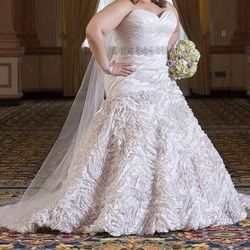 Wedding Gown- Plus Size
