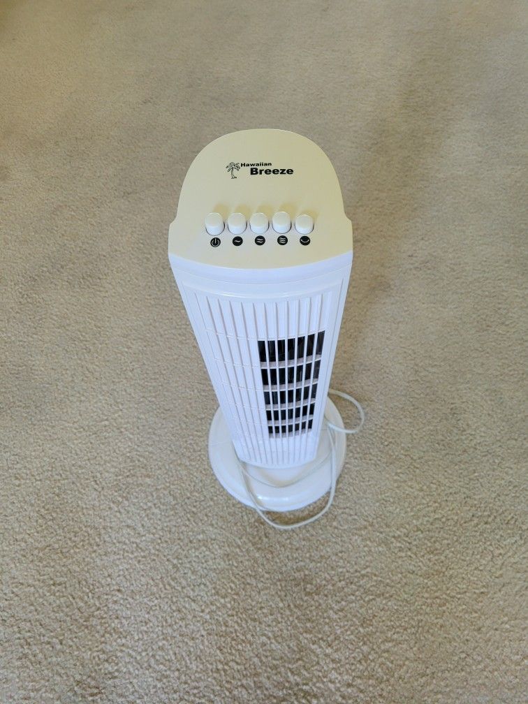 Fan