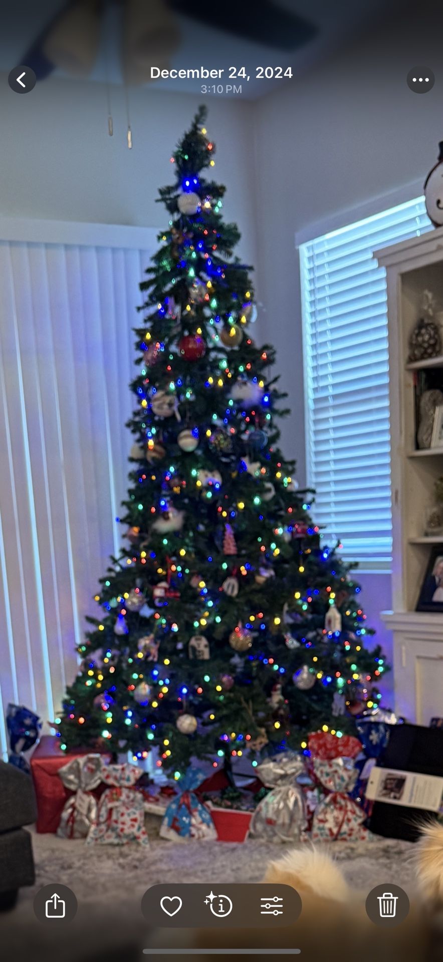 7.5 Ft Tree (used 1 Year)