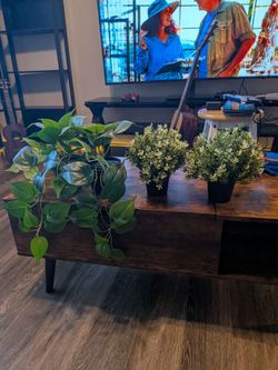Fake plants