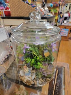 Fairy Terrarium