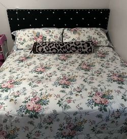 King Frame + Box Spring