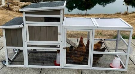 NEW COOP IN BOX