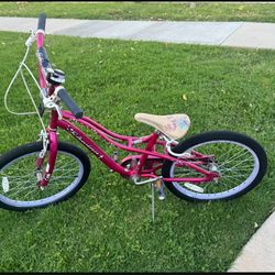 20” Schwinn Girl Bike 