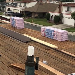 Shingles Roof