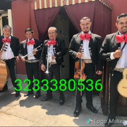 Viola Y Mariachi