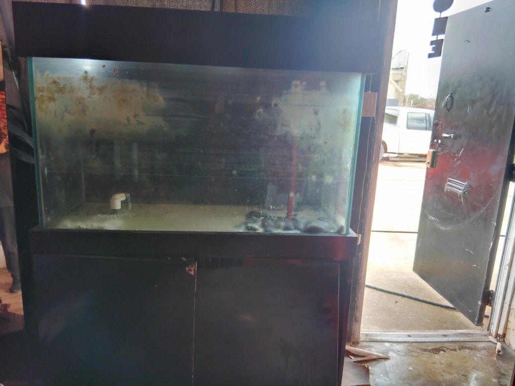 125 Gallon Fish Tank
