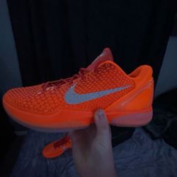 Kobe 6
