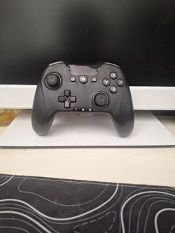 Nintendo Switch Wireless Controller