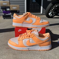 Dunks Size 10.5 Mens 