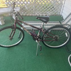 TREK BIKE