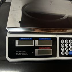 Digital Weight Scale Steel 