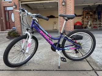 Schwinn 24 Inch Girls Bike