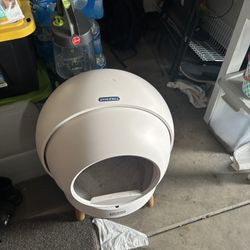 Petsmart Litter 