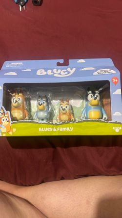Bluey & Family