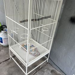 Bird Cage 🦜