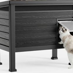 Big Cat House