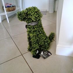 Topiary Dog 