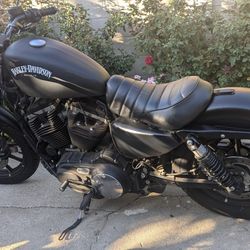 2021 Harley Davidson Iron 883 XL