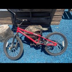 20in Matt Hoffman Bike